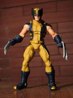 Wolverine (Marvel Legends) Custom Action Figure