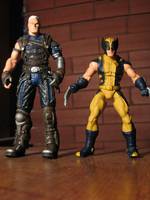 Wolverine (Marvel Legends) Custom Action Figure