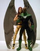 Shayera Hol 'Hawkgirl' (DC Universe) Custom Action Figure