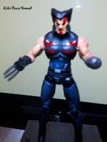 Weapon X  (Age of Apocalypse) (Marvel Universe) Custom Action Figure