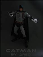 Catman V. 2 (DC Universe) Custom Action Figure