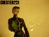 Catwoman | Selina Kyle (Batman) Custom Action Figure