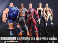 Squadron Supreme the Pre War Years (Squadron Supreme) Custom Action Figure