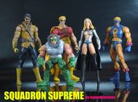 Squadron Supreme Batch 3 (Squadron Supreme) Custom Action Figure