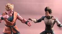 Vegeta (Dragonball Z) Custom Action Figure