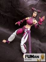 Han Juri (Street Fighter 4) (Street Fighter) Custom Action Figure