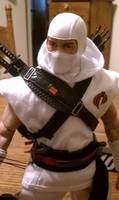 Sideshow Storm Shadow (G.I. Joe) Custom Action Figure