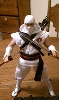 Sideshow Storm Shadow (G.I. Joe) Custom Action Figure