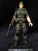 Lt. Falcon (G.I. Joe 30th Anniversary) Custom Action Figure