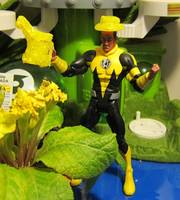 Gardening with Sinestro (Green Lantern) Custom Action Figure