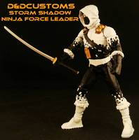 Storm Shadow Ninja Force (G.I. Joe) Custom Action Figure