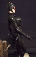 Catwoman (Batman) Custom Action Figure
