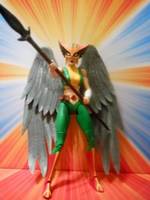 Hawkgirl--Kendra Saunders (DC Universe) Custom Action Figure