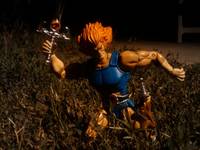 Lion-O (Thundercats) Custom Action Figure