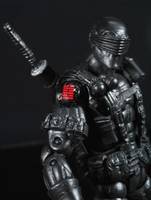 Snake Eyes with Timber (G.I. Joe) Custom Action Figure