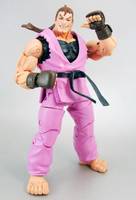 Dan Hibiki (Street Fighter) Custom Action Figure