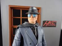 The Gray Ghost (Batman Animated) (DC Universe) Custom Action Figure