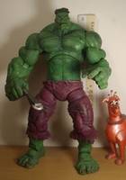 Hulk Icon (Marvel Icon) Custom Action Figure