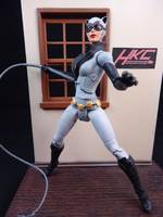 Catwoman (Animated Style) (Batman - Arkham City) Custom Action Figure