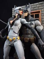 Catwoman (Animated Style) (Batman - Arkham City) Custom Action Figure