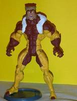 XM Vs SF Sabretooth (Marvel Legends) Custom Action Figure