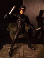 Arkham City Nightwing Repaint (DC Universe) Custom Action Figure