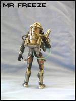 Mr Freeze (Batman) Custom Action Figure