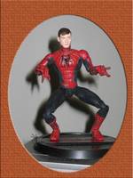Peter / Spiderman (Spider-Man - Movie) Custom Action Figure