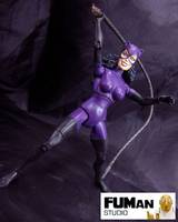 DC Catwoman (DC Universe) Custom Action Figure