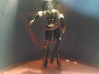 Harey Quinns Revenge Harley Quinn (Batman - Arkham City) Custom Action Figure