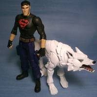 Young Justice Superboy and Wolf (Young Justice) Custom Action Figure