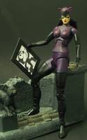 Catwoman 90s (DC Universe) Custom Action Figure
