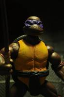 Donatello (Teenage Mutant Ninja Turtles) Custom Action Figure