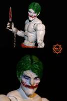 Joker "Escape from Arkham" (DC Universe) Custom Action Figure