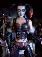 Harley Quinn's Revenge (Arkham City) (Batman) Custom Action Figure