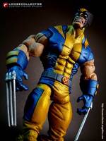 Wolverine (Marvel Legends) Custom Action Figure