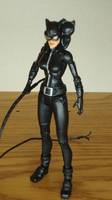 DCU Catwoman and Penguin Repaint (DC Universe) Custom Action Figure