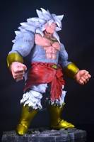 Dragonball Z Super Saiyan 4 Broly (Dragonball Z) Custom Action Figure