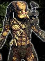 Custom NECA Jungle Hunter Predator (Predator) Custom Action Figure