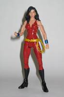 Donna Troy - Wonder Girl (DC Universe) Custom Action Figure