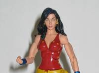 Donna Troy - Wonder Girl (DC Universe) Custom Action Figure