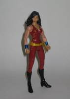 Donna Troy - Wonder Girl (DC Universe) Custom Action Figure