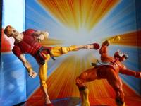 Richard Dragon, Kung-Fu Fighter (DC Universe) Custom Action Figure