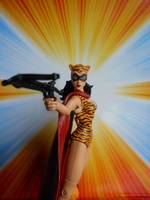 Tigress (Paula Brooks) (DC Universe) Custom Action Figure