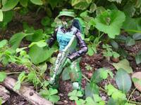Jungle Joe: Crawler (G.I. Joe) Custom Action Figure