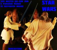 Star Wars QUI-GON JINN Jedi Master (Star Wars) Custom Action Figure