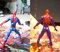 Spider-Man House of M (Spider-Man) Custom Action Figure