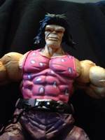 HUGO (Street Fighter) (Street Fighter) Custom Action Figure