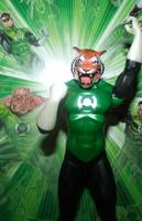 Green Lantern King Tawny (Green Lantern) Custom Action Figure