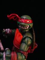 Raphael (Teenage Mutant Ninja Turtles) Custom Action Figure